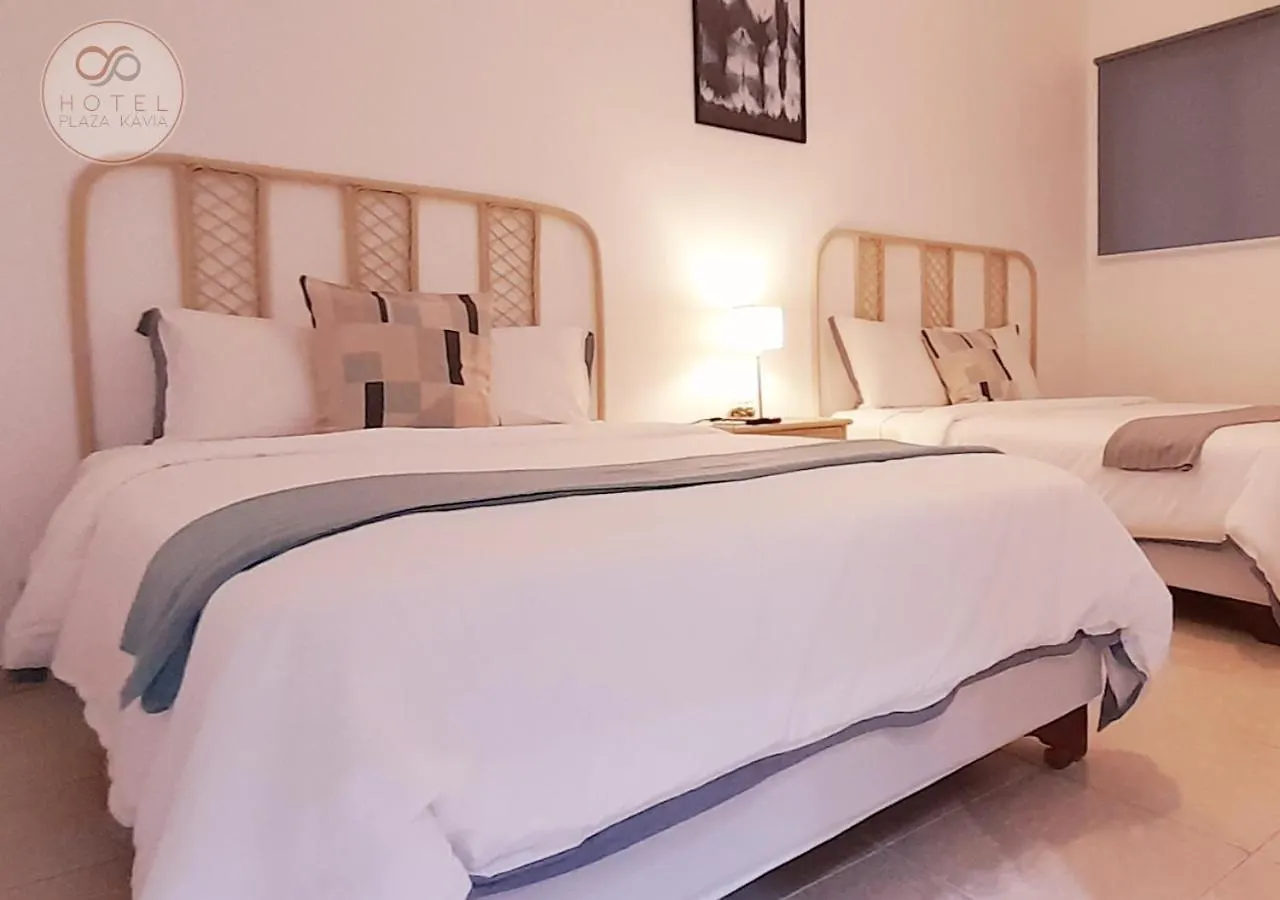Hotel Plaza Kavia Saint-Domingue